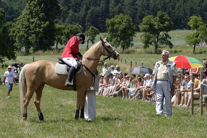 IMG_1837_Orez.jpg - Petra Smětáková + Tena